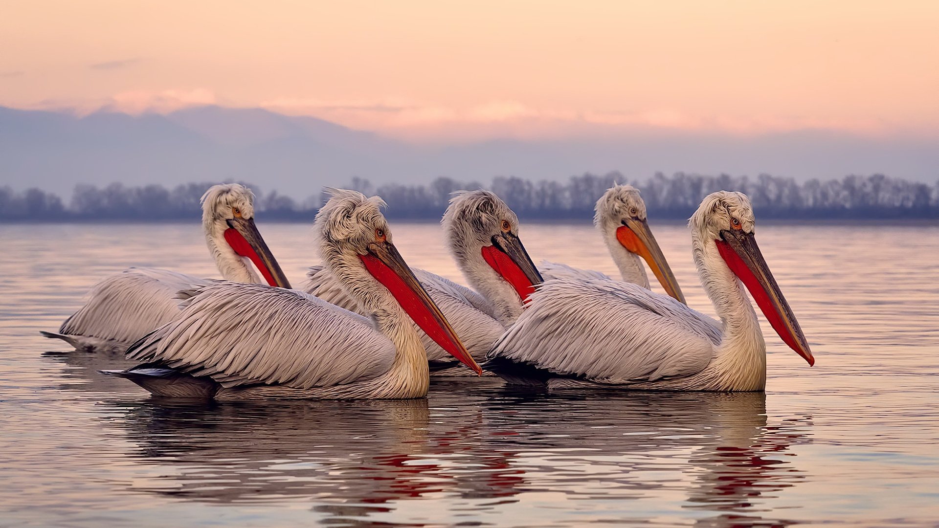 AI引擎赋能:智能测评、战术分析助推专业化发展,ai引擎是干什么的